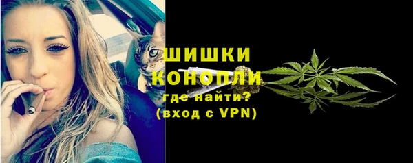 гидра Горно-Алтайск