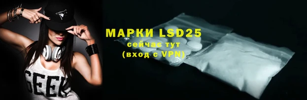 ECSTASY Горняк