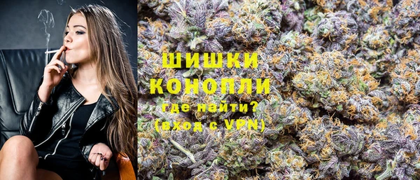 мет Гусев