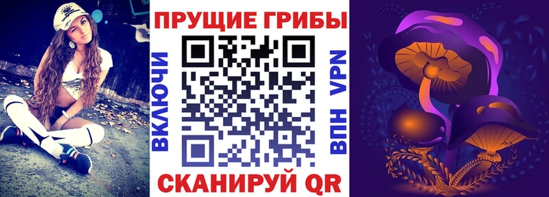 Псилоцибиновые грибы MAGIC MUSHROOMS  Купить закладки  Гагарин 